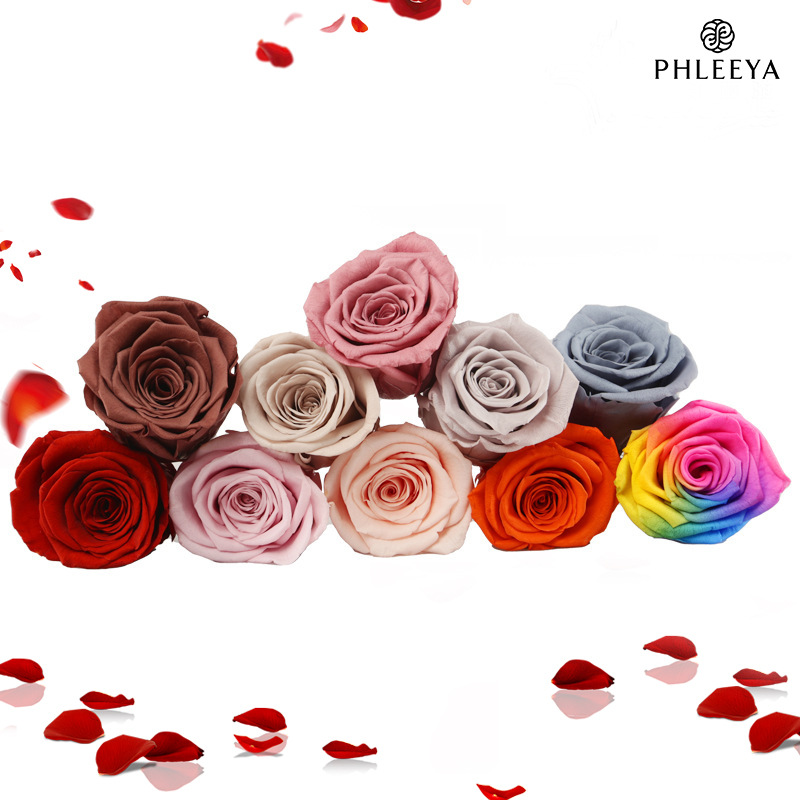 6 шт. головки вечных цветов ро – обзор и цена Wedding Supply In Bulk